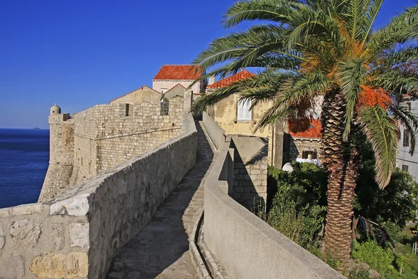 Městské hradby Dubrovníku, Chorvatsko — Stock fotografie