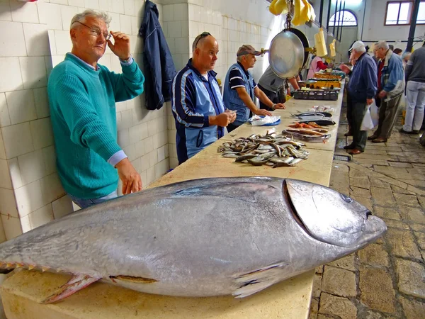Mercado de pescado, Split, Croacia — Foto de Stock