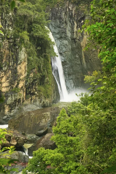 Водопад Сальто Хименоа Уно, Харабакоа, Доминиканская Республика — стоковое фото