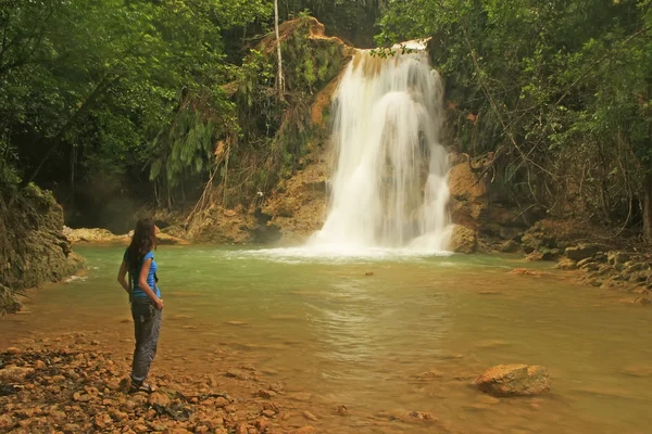 El salto de limon waterval, Dominicaanse Republiek — Stockfoto