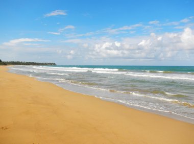 Playa el limon, Dominik Cumhuriyeti