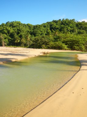 plajda, playa el temiz su Nehri limon, Dominik Cumhuriyeti