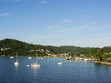 bay Samana, Dominik Cumhuriyeti