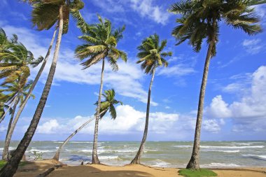 Las terrenas beach, yarımada samana, Dominik Cumhuriyeti