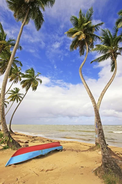 Las Terrenas beach, Samana peninsula — Stock Photo, Image