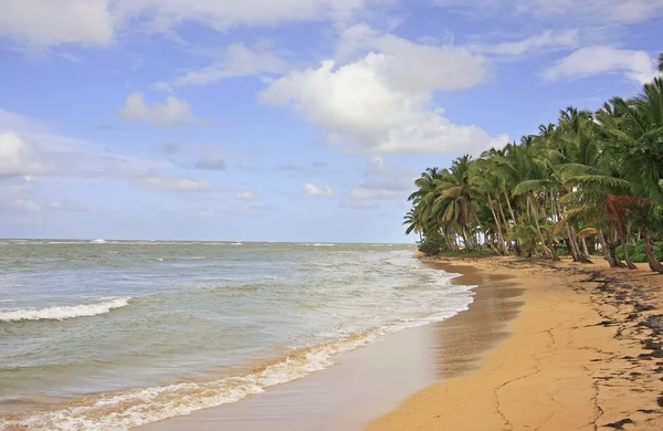 Las Terrenas beach, Samana peninsula — Stock Photo, Image