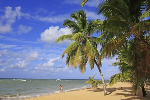 Półwysep samana Las terrenas plaży — Zdjęcie stockowe