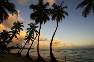 Las terrenas sahilde günbatımı, samana Yarımadası