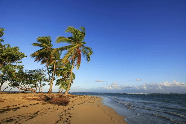 Las terrenas strand, schiereiland samana — Stockfoto