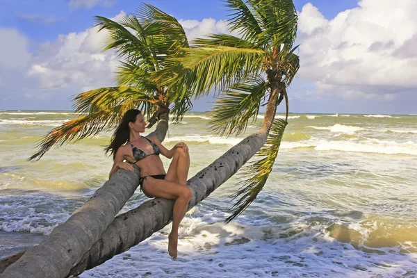 年轻女子坐在棕榈树上的比基尼 — 图库照片