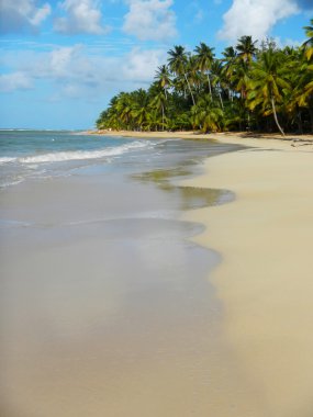 las terrenas strand, schiereiland samana