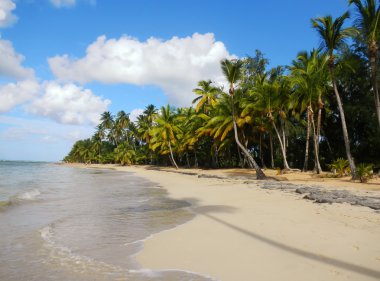 las terrenas strand, schiereiland samana