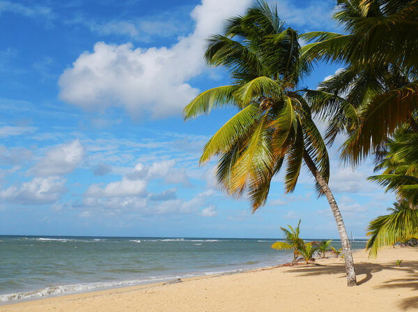 Las Terrenas beach, Samana peninsula