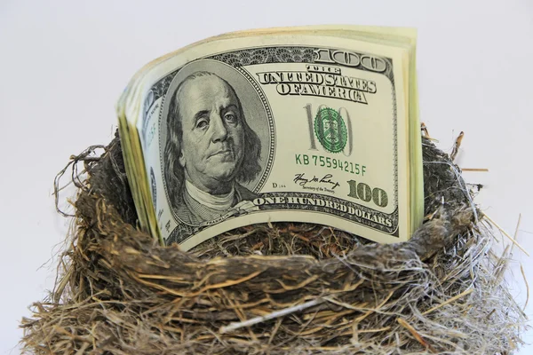 Dollar bills in a bird nest — Stock Photo, Image