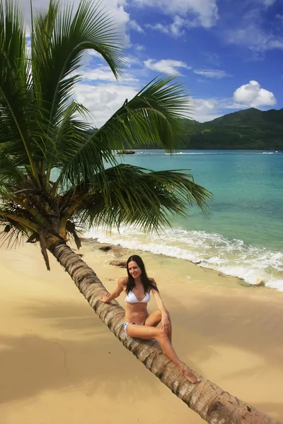 Young woman in bikini sitting on leaning palm tree at Rincon bea — Stock Photo, Image