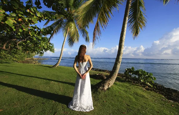 Mujer joven en vestido de novia de pie junto a la palmera — Foto de Stock