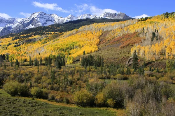 Gama de Monte sneffels, colorado —  Fotos de Stock