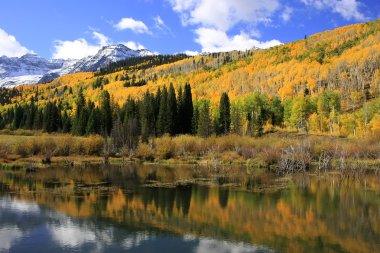 Wilson creek, sneffels wilderness, colorado değişir.
