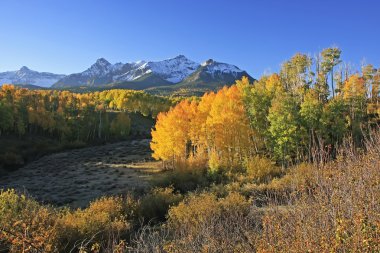 Dallas Divide, Uncompahgre National Forest, Colorado clipart