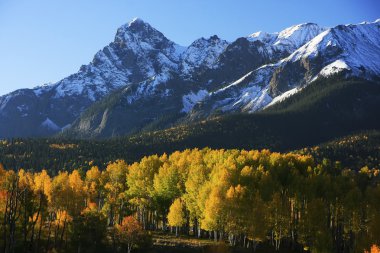 Dallas bölmek, uncompahgre Ulusal Ormanı, colorado