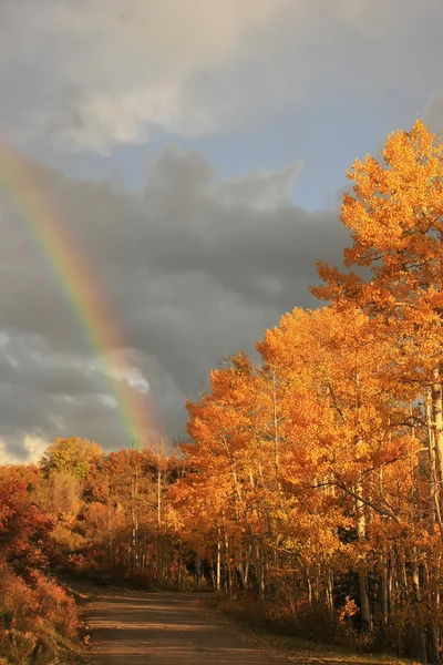 Rainbow over aspen trees, Colorado — Stock Photo, Image