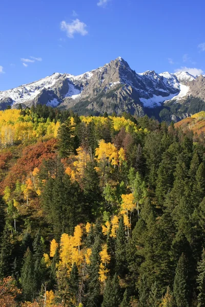 Gama de Monte sneffels, colorado — Foto de Stock