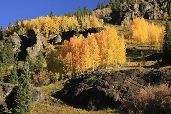 Bacino del ragazzo Yankee, Monte sneffels deserto, colorado — Foto Stock