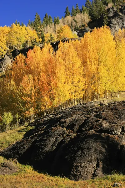 Yankee Boy Basin, Monte Sneffels deserto, Colorado — Fotografia de Stock