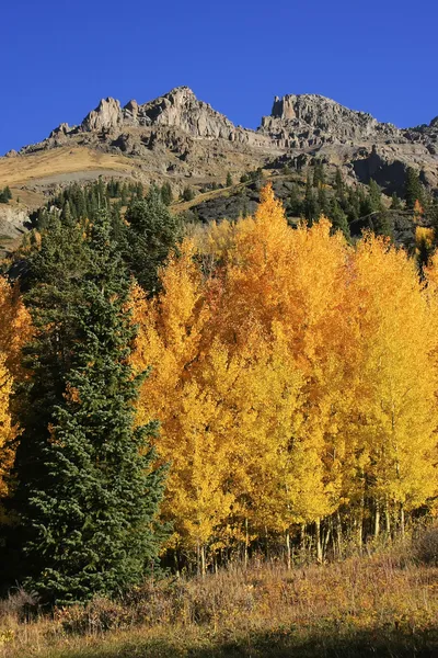 Yankee boy becken, mount sneffels wildnis, colorado — Stockfoto