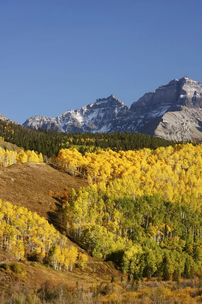 Гора діапазон Sneffels, Колорадо — стокове фото