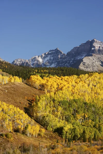 Gama de Monte sneffels, colorado — Foto de Stock