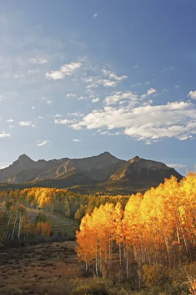 Gama de Monte sneffels, colorado — Foto de Stock