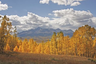 kertenkele kafası wilderness, colorado