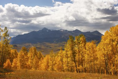 kertenkele kafası wilderness, colorado