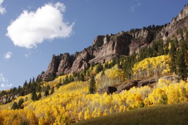 telluride, uncompahgre Ulusal Ormanı, colorado yakınlarında doğal