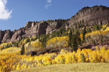 telluride, uncompahgre Ulusal Ormanı, colorado yakınlarında doğal