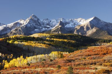 Dallas Divide, Uncompahgre National Forest, Colorado clipart