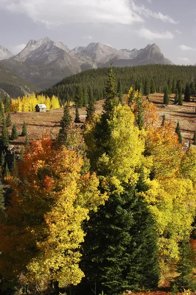 Molassepass, Rio Grande Nationalwald, Colorado — Stockfoto