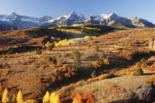 Dallas klyftan, uncompahgre national forest, colorado — Stock fotografie