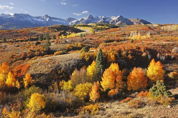 Divisão de Dallas, a floresta nacional de uncompahgre, colorado — Fotografia de Stock