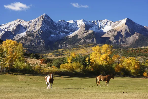 Dallas bölmek, uncompahgre Ulusal Ormanı, colorado