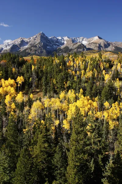 Dallas klyftan, uncompahgre national forest, colorado — Stock fotografie