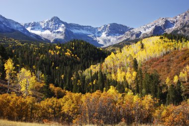 Dallas bölmek, uncompahgre Ulusal Ormanı, colorado