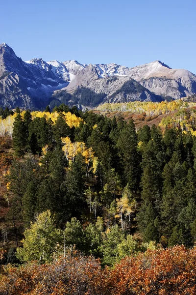 ダラスに分割し、uncompahgre 国有林、コロラド州 — ストック写真