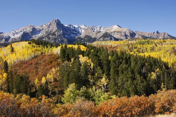 Dallas klyftan, uncompahgre national forest, colorado — Stock fotografie