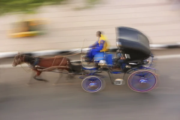 Carro de caballo en una calle de Asuán, Egipto —  Fotos de Stock