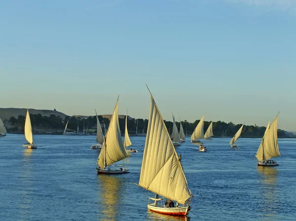 Felucca boats sailing on the Nile river, Aswan — Stock Photo, Image