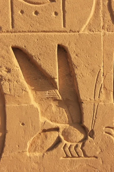 Hiéroglyphes anciens sur les murs du complexe du temple Karnak, Lux — Photo