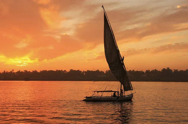 Felucca båt segla på Nilen i solnedgången, luxor — Stockfoto