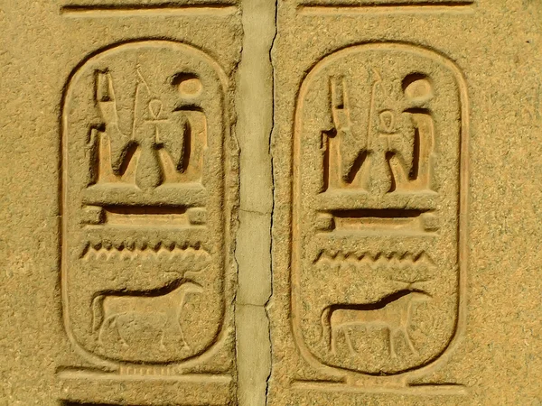 Ancient hieroglyphics on display outside Egyptian museum, Cairo — Stock Photo, Image